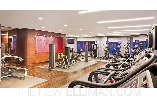 Rented by Douglas Elliman | media 48