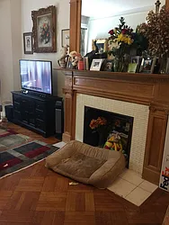 Rented by PennApts