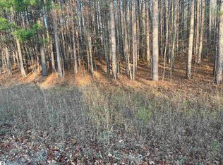 N Reynolds Rd, Lake Ann, MI 49650