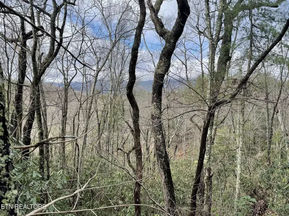 0 Walnut Flats Rd, Walland, TN 37886