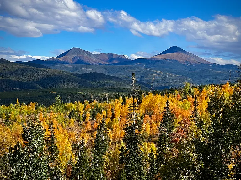 Fall view from the balcony