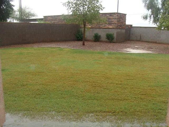 Rear Yard