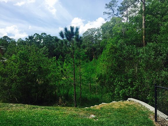 5th image of 12506 Streamdale Dr
