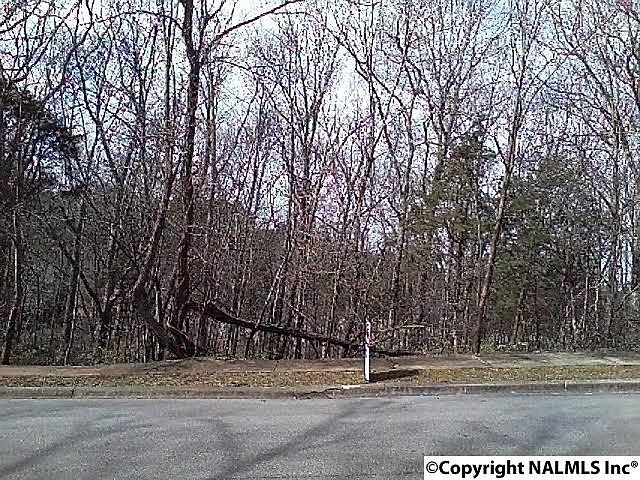 1st image of Burlington Dr SE
