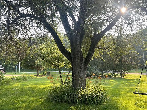 3rd image of 10515 Old Y Rd