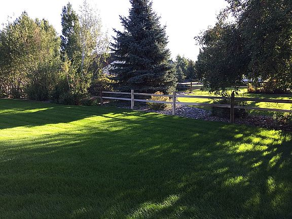 Back yard