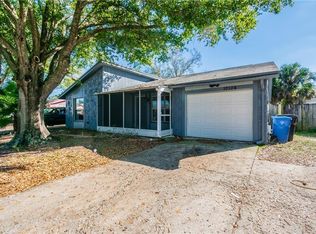 10106 Lazy Creek Ct, Tampa, FL 33615