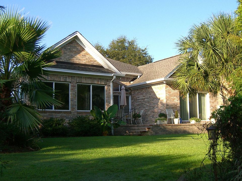 Back View