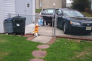 Detracted garage and parking