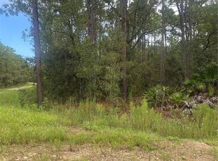 SW 81st St LOT 1, Dunnellon, FL 34432