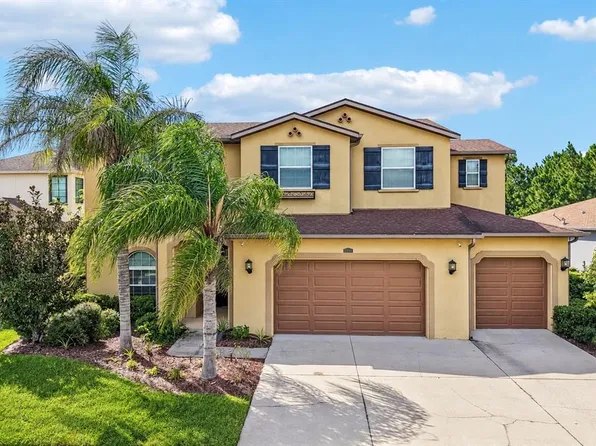 2589 GWYNHURST BOULEVARD, WESLEY CHAPEL, FL 33543