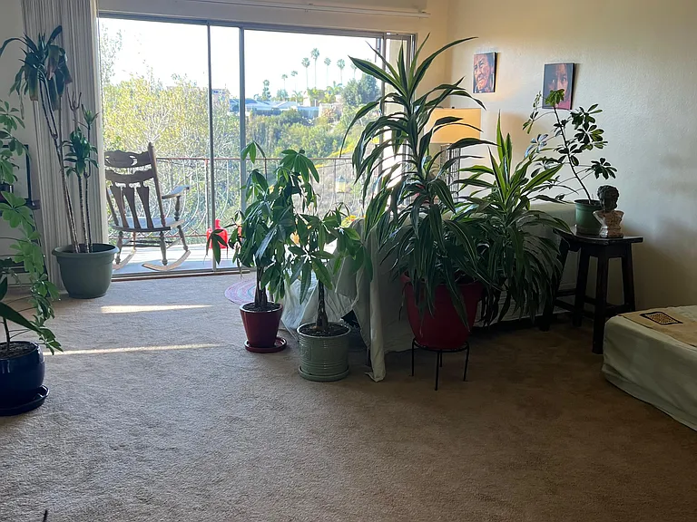 Clairemont Dr — Photo 17