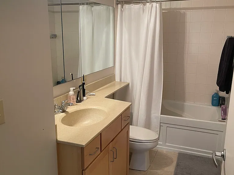 222 N Columbus Dr #2907 — Photo 5