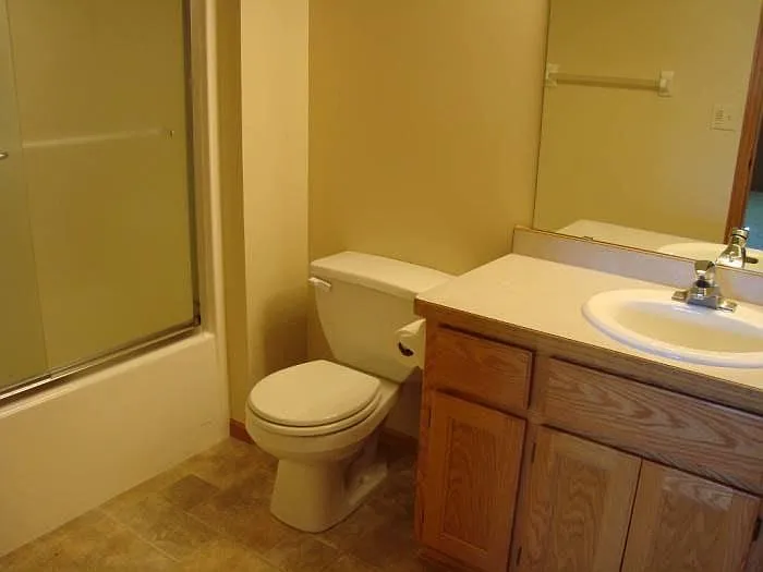 Lower Level Bathoom
