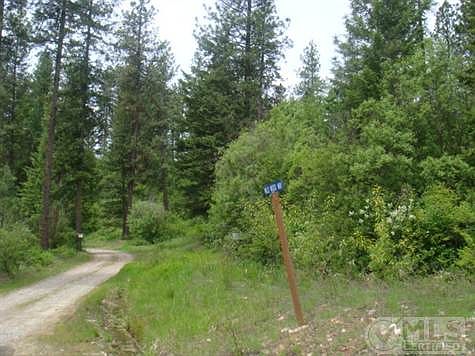 Crumps      June 1 009