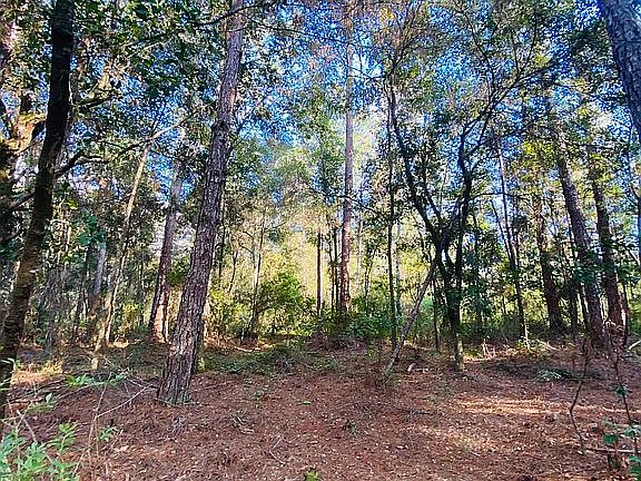 5th image of Brush Hill Ln