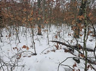 Lots 10 13 W Oliver St, Baldwin, MI 49304