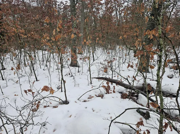 V/l 10 13 W Oliver Rd, Baldwin, MI 49304