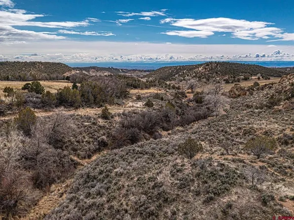 TBD Green Valley Road, Cedaredge, CO 81413