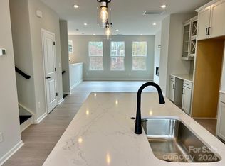 404 Catawba Ave, Davidson, NC 28036