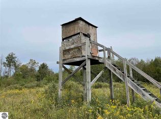 0 Wilson Creek Rd, Hale, MI 48739