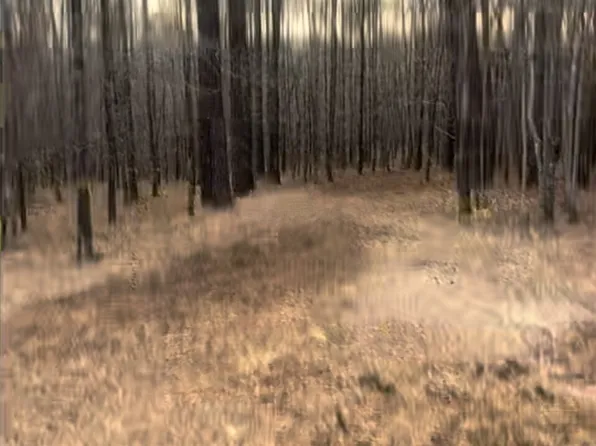 166 Lake Crest Dr, Sparta, GA 31087