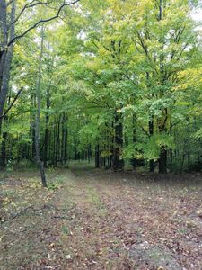 W Fisher Rd, Ludington, MI, 49431