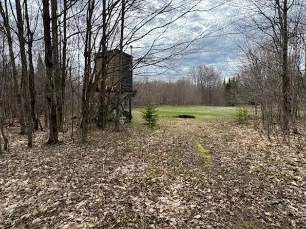0 E Tee Lake Rd, Germfask, MI 49836