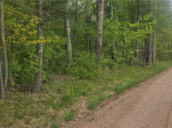 Lot 3 Buckeye Lane, Stone Lake, WI 54876
