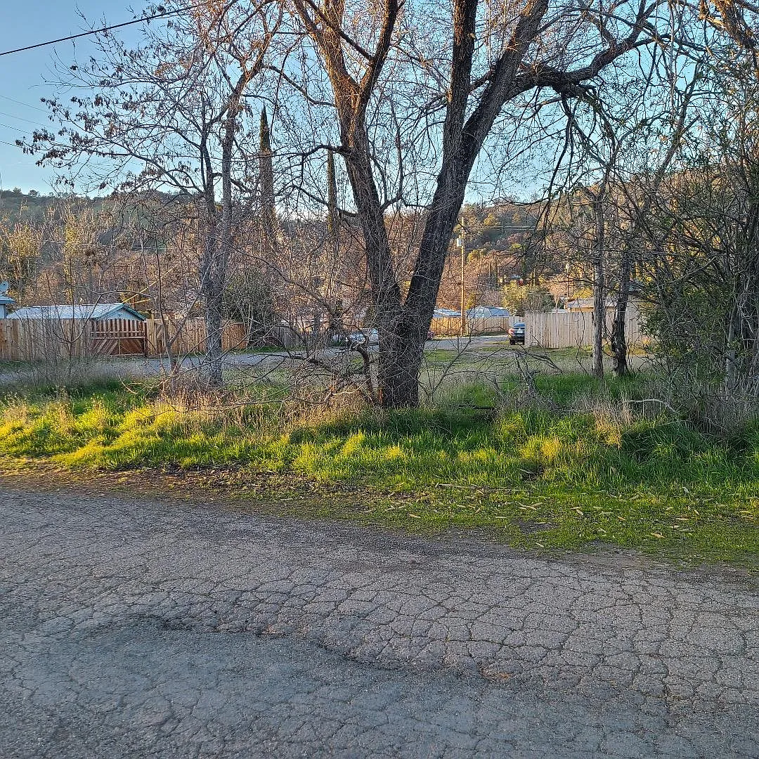 12958 4th St photo 1
