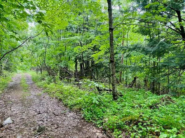 00 Stonewood Lane, Parsonsfield, ME 04047