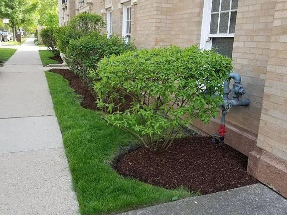 2nd image of 803 Elmwood Ave #3E