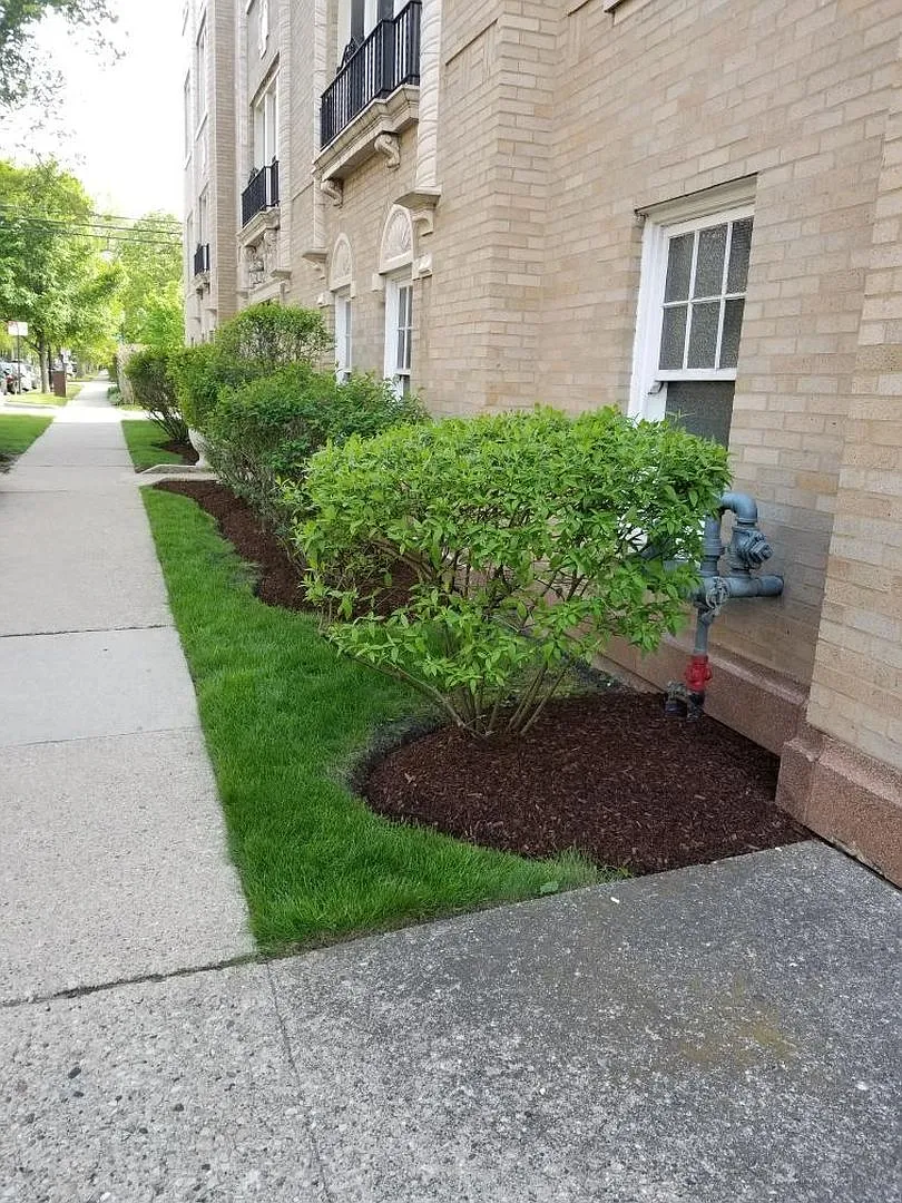 Building Photo - 803 Elmwood Ave #3E