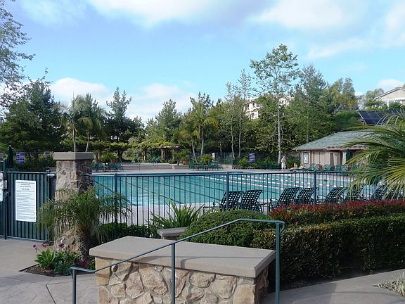 Junior sized olympic pool