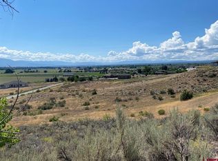 LOT 43 Lone Eagle Rd, Montrose, CO 81403