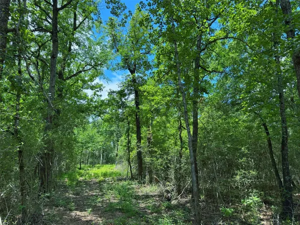 County Road 295, Oakwood, TX 75855