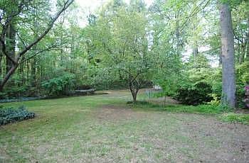 Spacious Yard