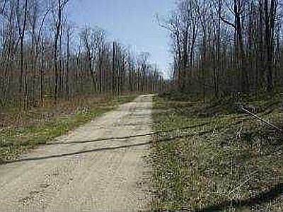 Jersey Road