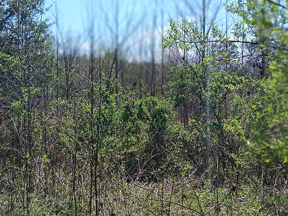5th image of 1325 County Road 609