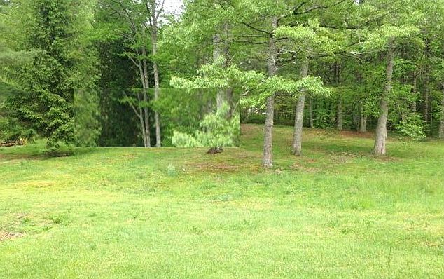 2nd image of 21 Horvath Rd
