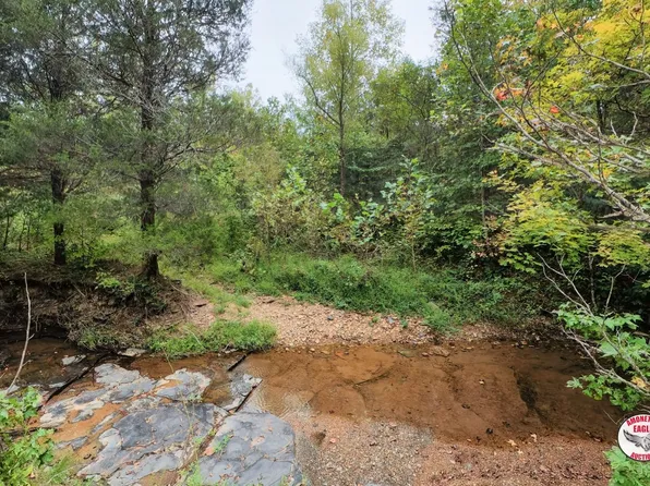 Off Of Luther Shepard Rd, Burkesville, KY 42717