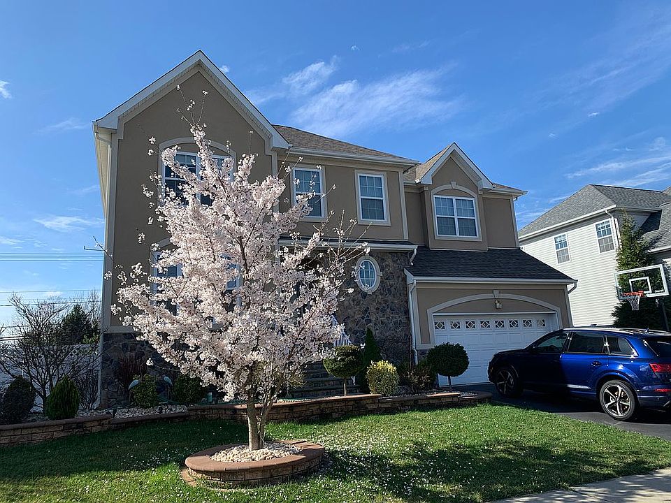 11 Violet CT