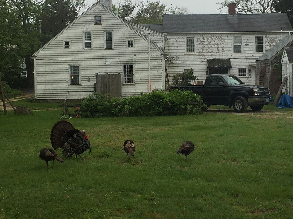 2nd image of 60 Corporation Rd