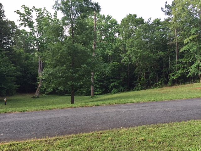 Excellent building lot, 