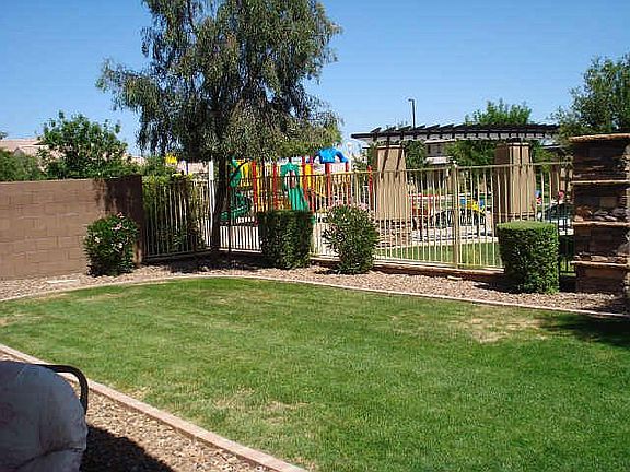 back yard