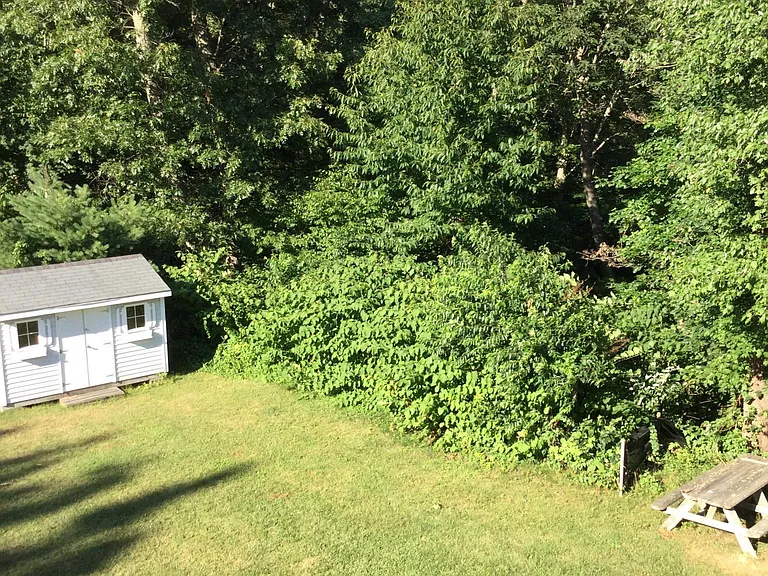 30 Dana Rd #3B — Photo 34