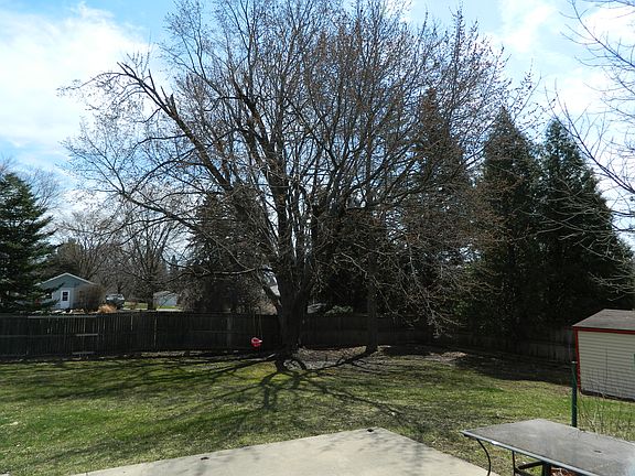 Mature trees and shed back