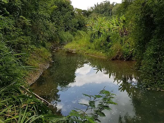 4th image of Bo Magos Carr 111 Ramal #438