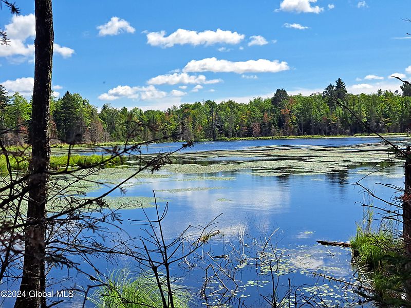 3rd image of 231 Mud Pond Road