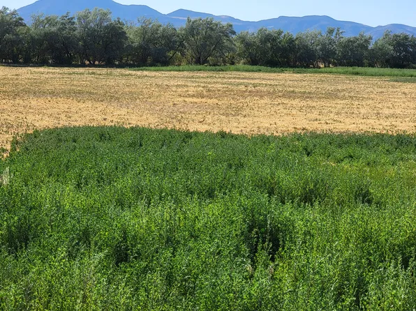 14900 S 11130 W, Goshen, UT 84633